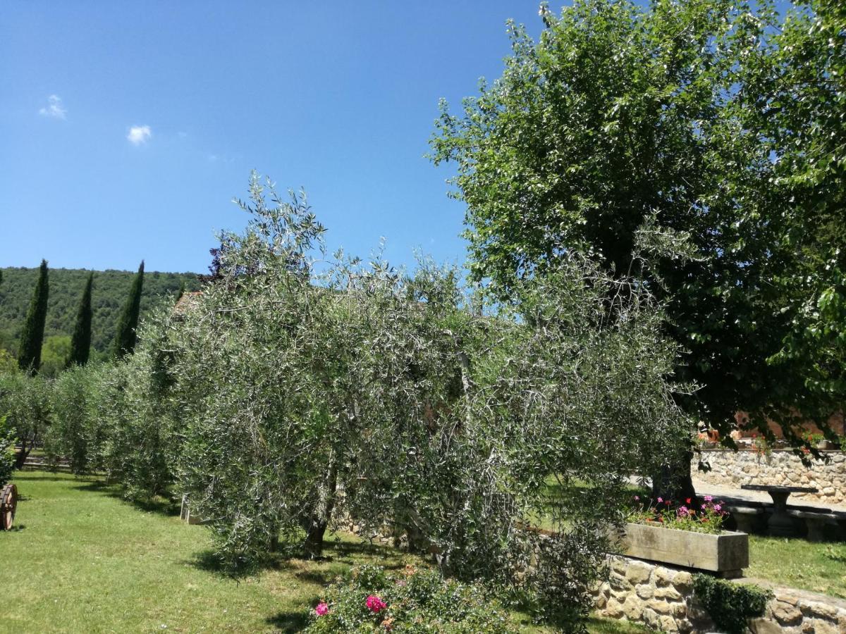 Aparthotel Borgo Di Barigianino à Sovicille Extérieur photo